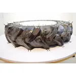 Колесо для мотоблока 6.00-12" под 4 болта (8 слоев) 14 ламелей, изображение 3 купити в Україні